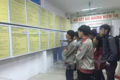 Tạo việc làm cho thanh niên là mục tiêu của ngành Lao động-Thương binh và Xã hội. (Ảnh minh họa: PV/Vietnam+) 