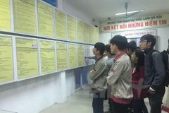 Tạo việc làm cho thanh niên là mục tiêu của ngành Lao động-Thương binh và Xã hội. (Ảnh minh họa: PV/Vietnam+) 