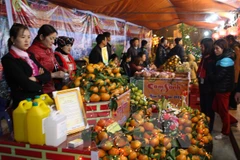 (Ảnh minh họa: Quang Đán/TTXVN)