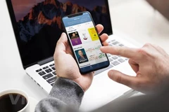 Vấn đề vi phạm bản quyền các sản phẩm công nghiệp văn hóa ngày càng nhức nhối. (Ảnh: PV/Vietnam+)