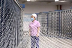 Từ năm 2010, Đức đã không còn coi Trung Quốc là quốc gia đang phát triển. (Ảnh: THX/TTXVN)