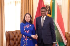 Phó Chủ tịch nước Võ Thị Ánh Xuân với Phó Tổng thống Nam Phi Paul Mashatile. (Ảnh: Lâm Khánh/TTXVN)