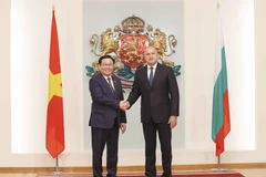 Chủ tịch Quốc hội Vương Đình Huệ hội kiến Tổng thống Bulgaria Rumen Radev. (Ảnh: Doãn Tấn/TTXVN)