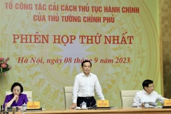 Phó Thủ tướng Trần Lưu Quang, Tổ trưởng Tổ công tác, phát biểu. (Ảnh: Lâm Khánh/TTXVN)