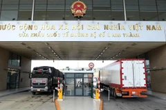 Xe chở quả vải tươi chờ làm thủ tục tại Cửa khẩu Quốc tế Đường bộ số 2 Kim Thành xuất khẩu sang Trung Quốc. (Ảnh: Quốc Khánh/TTXVN)