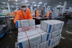 Đóng gói sản phẩm thủy sản đông lạnh xuất khẩu. (Ảnh: Vũ Sinh/TTXVN)