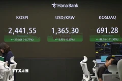 (Ảnh minh họa. THX/TTXVN)