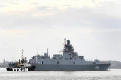 Ảnh minh họa. (Nguồn: TTXVN)