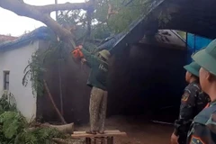 Cán bộ, chiến sỹ ban chỉ huy quân sự tỉnh Thanh Hóa giúp dân khắc phục hậu mưa bão. (Ảnh: Nguyễn Nam/TTXVN)