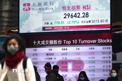 Ảnh minh họa. (Nguồn: TTXVN)