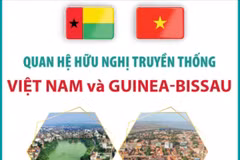 Quan hệ hữu nghị truyền thống giữa Việt Nam và Guinea-Bissau