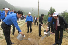 Trồng hàng trăm nghìn cây xanh hưởng ứng Tết trồng cây xuân 2015 