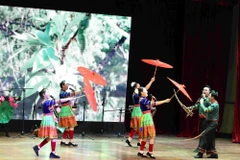 Ảnh minh họa. (Nguồn: TTXVN)