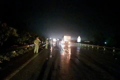 (Ảnh minh họa: TTXVN phát)