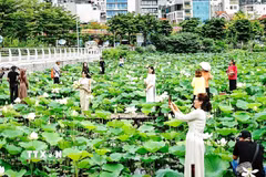Không khí Hà Nội ở mức Tốt. (Nguồn: TTXVN)