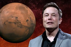 [Mega Story] Vì sao Elon Musk học nhanh và giỏi hơn những người khác?