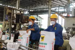 Công nhân đóng gói phân bón xuất khẩu. (Nguồn: TTXVN)