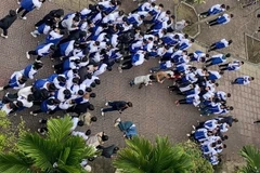 Hiện trường vụ việc.