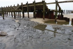 Phát hiện dấu vết người tiền sử cổ xưa nhất ở Anh