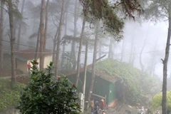 Tam Đảo tấp nập vào mùa du lịch với diện mạo mới