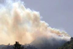 Đã dập tắt đám cháy tại Vườn Quốc gia Hoàng Liên