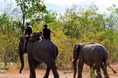 Gia đình Ama Kong hiến tặng bộ đồ nghề bắt voi rừng