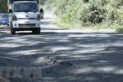 Đoạn tuyến qua đèo Mimosa trên Quốc lộ 20, tỉnh Lâm Đồng. (Ảnh: Đặng Tuấn/TTXVN) 