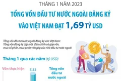 Tổng vốn FDI đăng ký vào Việt Nam trong tháng 1 đạt 1,69 tỷ USD
