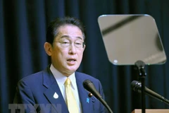 Thủ tướng Nhật Bản Fumio Kishida. (Ảnh: Kyodo/TTXVN)