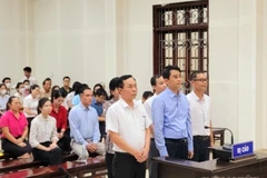 Các bị cáo nhận mức án từ 24 đến 36 tháng tù treo. (Ảnh: TTXVN phát)