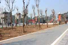 Hà Nội: Xây dựng công viên cây xanh trên đất vi phạm ở Đông Anh