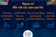 [Infographics] Giảm phát thải để bảo vệ các rạn san hô trên thế giới