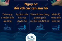 [Infographics] Giảm phát thải để bảo vệ các rạn san hô trên thế giới