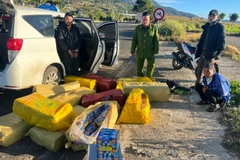 Lâm Đồng: Bắt giữ 2 đối tượng vận chuyển trái phép gần 450kg pháo nổ