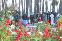 (Ảnh: HL/Vietnam+ )