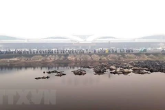 Một góc đảo Kalimantan, nơi được chọn để xây dựng thủ đô mới của Indonesia. (Ảnh: AFP/TTXVN)