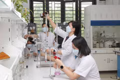 Các nhà khoa học nữ thuộc Bộ môn Hóa dược, Khoa Công nghệ Hóa dược, Trường Đại học Dược Hà Nội trong phòng thí nghiệm. (Ảnh: Phương Hoa/TTXVN) 