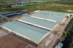Trung tâm heo giống công nghệ cao chưa xây dựng hoàn thành nhưng có một trại đã được thả nuôi heo gây ô nhiễm môi trường. (Ảnh: Nhựt An/TTXVN)