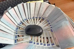 Việc nâng thời hạn thị thực điện tử từ 30 ngày lên 90 ngày được kỳ vọng sẽ là đòn bẩy tăng khách quốc tế đến Việt Nam. (Ảnh: CTV/Vietnam+) 