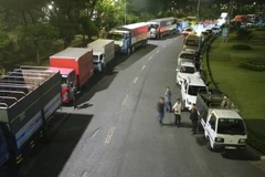 Hàng trăm phương tiện xếp thành 2 hàng dài từ đêm hôm trước để chờ tới lượt được vào đăng kiểm tại Trung tâm Đăng kiểm Xe Cơ giới 60.01S (thành phố Biên Hoà, Đồng Nai). (Ảnh: Lê Xuân/TTXVN)