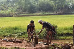 Nghi lễ Cúng giọt nước là một trong những nghi lễ quan trọng của người Jrai được tổ chức với mục đích cầu mong thần nước phù hộ cho dân làng mạnh khỏe, mưa thuận gió hòa, mùa màng bội thu, cuộc sống ấm no. 