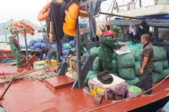 Các phương tiện khai thác thủy sản trái phép bị Hải đội Biên phòng 2, Bộ đội Biên phòng Quảng Ninh bắt giữ. (Ảnh: TTXVN phát)