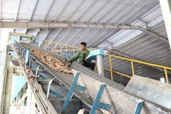 Công nhân sản xuất tại nhà máy tinh bột sắn. (Ảnh: Hoài Nam/TTXVN) 