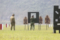 Ảnh minh họa. (Nguồn: TTXVN) 