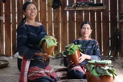 Rượu ghè, thức uống không thể thiếu trong các mùa lễ hội của người dân tộc thiểu số Tây Nguyên. (Ảnh: Hồng Điệp/TTXVN) 