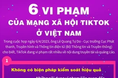 [Infographics] 6 vi phạm của mạng xã hội TikTok ở Việt Nam