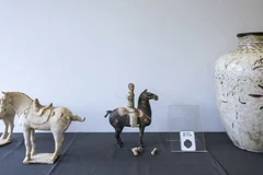 (Nguồn: swissinfo)