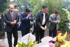 Ông Đỗ Xuân Tuyên (thứ 2, phải sang), Thứ trưởng Bộ Y tế dâng hương khu mộ Hải Thượng Lãn Ông. (Ảnh: Công Tường/TTXVN)