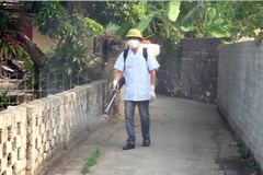 Phun thuốc diệt muỗi. (Ảnh: Thùy Dung/TTXVN)