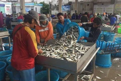Lao động nhập cư làm việc tại một cảng cá ở tỉnh Samut Sakhon, Thái Lan. (Ảnh: Reuters)
